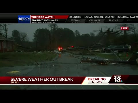 Intense video shows snapped trees, major damage in Sipsey, Alabama