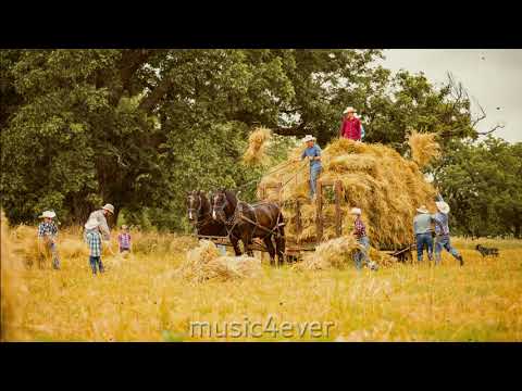 Heartwarming Celtic song "Harvest6" (#No_Copyright music)