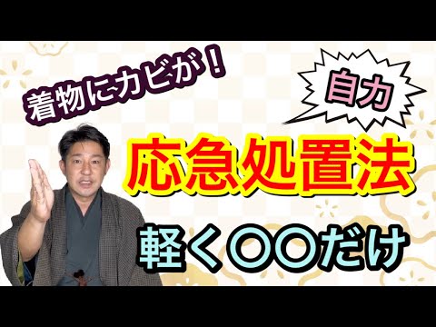 〖着物カビ〗お召しになる前のカビ発見！自力でする応急処置法