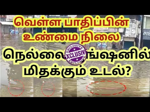 நெல்லை ஜங்ஷனில் மிதந்து வரும் உடல்? இனிமேதான் பாதிப்பின் உண்மை நிலவரம் தெரியும்! #திருநெல்வேலி