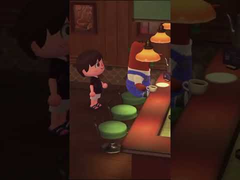 Secret VISITORS In The Roost in Animal Crossing!