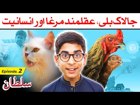 Chalak Billi, Aqalmand Murga aur Insaniyat - Sultan Ep02 | چالاک بلی، عقلمند مرغا اور انسانیت