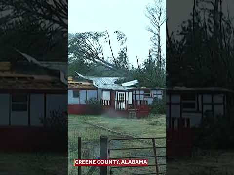 STORM DAMAGE: Fallen tree crashes onto roof in Greene County, Alabama.