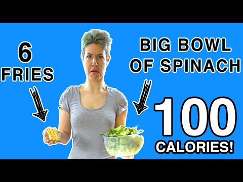 THE 100 CALORIE SONG - What does 100 Calories LOOK LIKE??