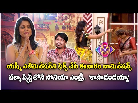 12th Week Nominations and Elimination Analysis Bigg Boss 8 Telugu  | Nagarjuna || Sekhar Kusuma