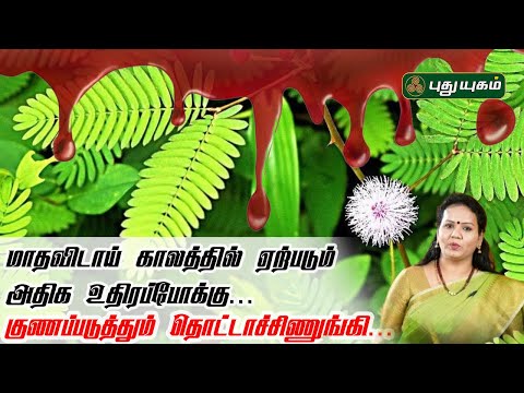 மாதவிடாய் காலத்தில் ஏற்படும் அதிக உதிரப்போக்கு...குணப்படுத்தும் தொட்டாச்சிணுங்கி... | Dr.Jayaroopa