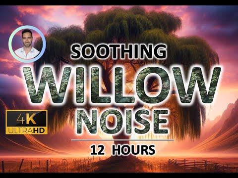 Soothing Willow Noise | 12 Hours BLACK SCREEN | Sleep, Tinnitus Relief & Focus