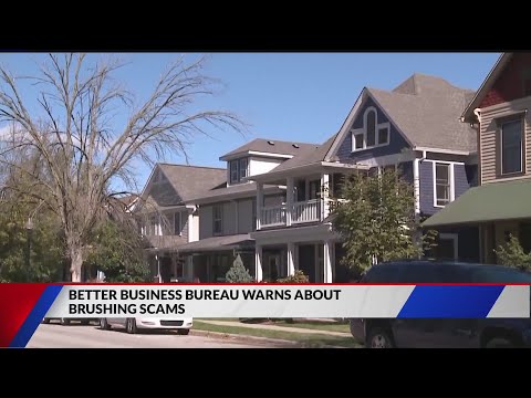 Better Business Bureau warns about brushing scams