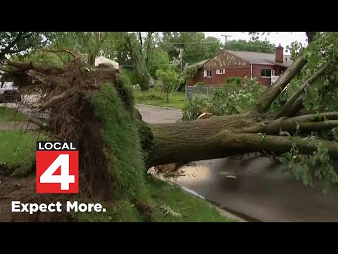 A look back at 2024 Livonia tornado amid Severe Weather Awareness Week