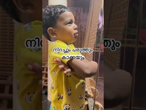 ഒരു വൈകുന്നേരം🙄#trending #viral #trendingshorts #viralshort #shorts #shortsfeed #shortvideo #nature