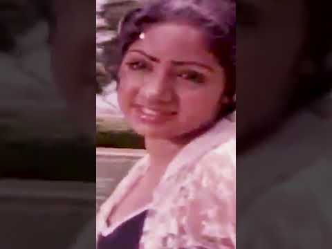 Sridevi and her movies - 11 #sridevi #bollywood #tollywood #kollywood #mollywood #shorts #trending