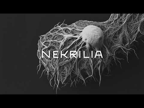 3. Nekrilia