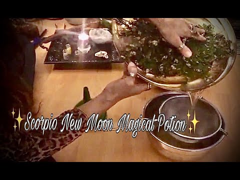 ✨Creating Magical Potions✨Scorpio New Moon Waters✨Rose of Jericho & Cedar✨Manifest & Transform✨