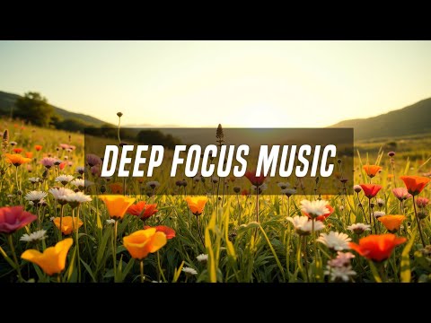 Deep Focus Music for Relaxation: Clear Your Mind and Find Peace ✨ B__eyond F__ocus F__requencie