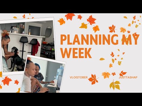 PLANNING MY WEEK, GROCERY SHOPPING, SAYING BYE TO LULU  |  VLOGTOBER