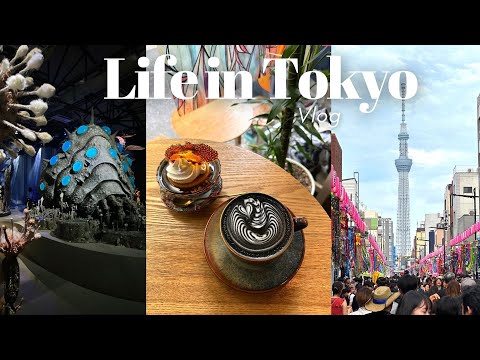 Tokyo VLOG| Tanabata festival, Ghibli Exhibition Tokyo, What I eat in a week, Studying Japanese