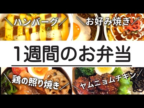 受験当日のお弁当、チェック柄チーズハンバーグ、焼きそば&お好み焼き弁当、簡単便利な四川風ピリ辛鶏飯 Cook Do他