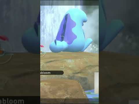 New Pokemon Snap | QUAGSIRE MAKING A SPLASH REQUEST |Cutest Funny Moments #shorts