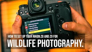 Setup your Nikon Z8 and Z9 for wildlife photography | Customise your camera like a pro!