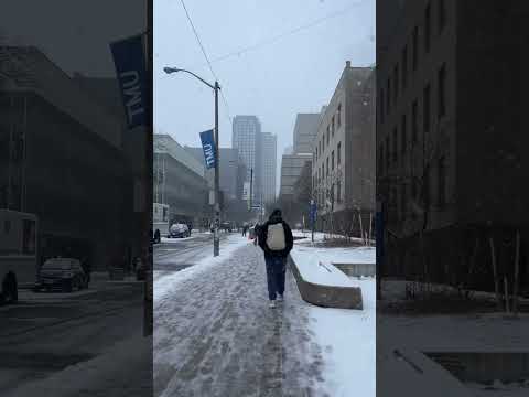 Toronto today | Snowfall| #torontoattractions |#like|#comment|#subscribe