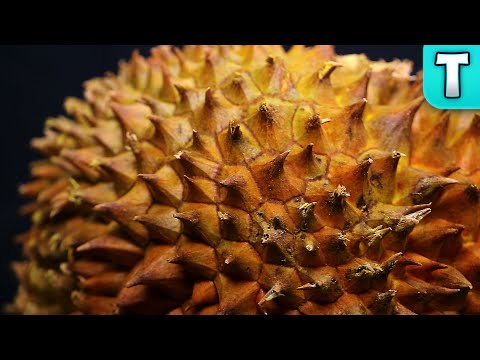 Top 10 Fruits You've Never Heard Of Part 4