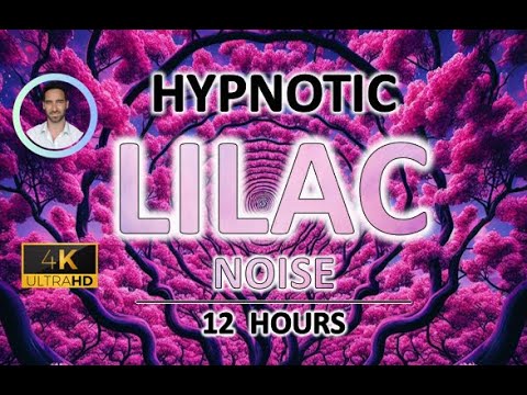 Hypnotic Lilac Noise | 12 Hours BLACK SCREEN | Study, Sleep, Anxiety and Tinnitus Relief