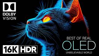 Unbelievable OLED DEMO 16K HDR 120fps Dolby Vision 16K Video ULTRA HD