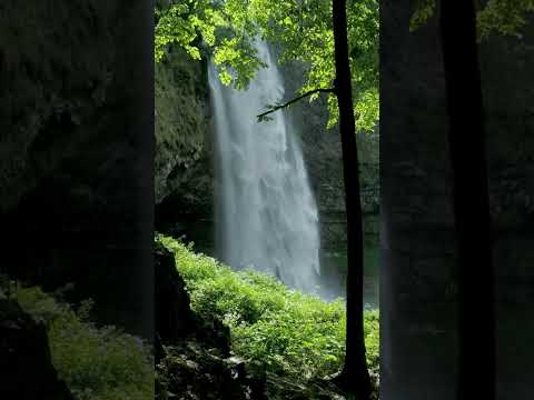 Relaxing Waterfall Tranquility