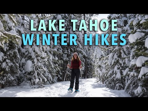 8 MAGICAL Winter Hikes in Lake Tahoe & Truckee, CA