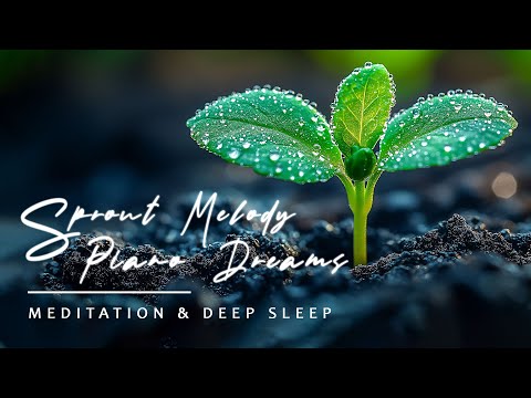 Sprout Melody Piano Dreams | Gentle Sounds for New Beginnings, Meditation & Deep Sleep with Dewdrops