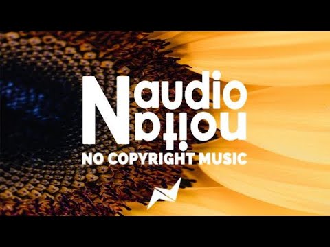 No Copyright Background Music for Vlogs | Sax - Ehrling | Free to Use Music for Intros | Safe Music