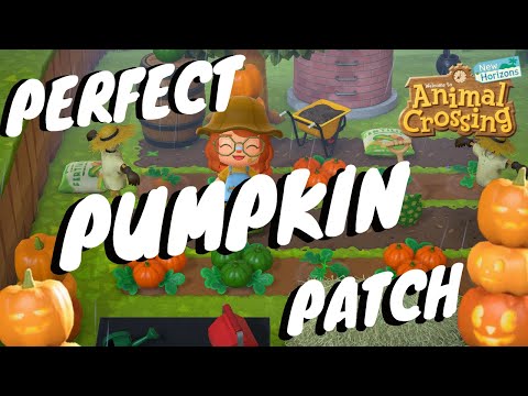 PERFECT PUMPKIN PATCH QUICK BUILD! // Animal Crossing: New Horizons Island Designs