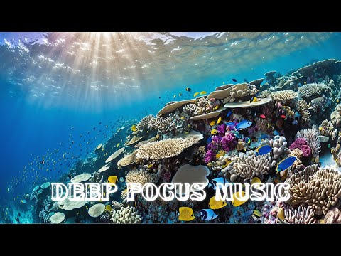 Stay Focused with These Deep Focus Relaxing Beats ♫ Beyond Focus Frequencies ♫