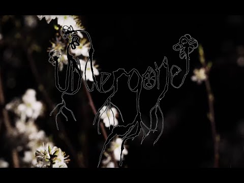 (bladee) undergone (ssaliva)