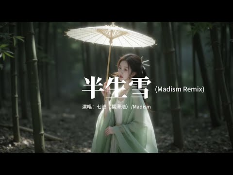 七叔（葉澤浩）/Madism - 半生雪（Madism Remix）『半生風雪 吹不散花落時節的眼淚，喚不回 孤雁終要南飛。』【動態歌詞MV】