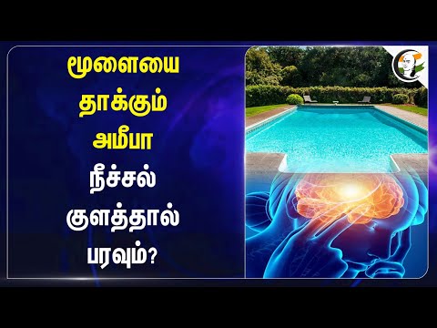 மூளையை தாக்கும் Amoeba! நீச்சல் குளத்தால் பரவும்? | Kerala | Tamilnadu | J.Radhakrishnan | Chennai