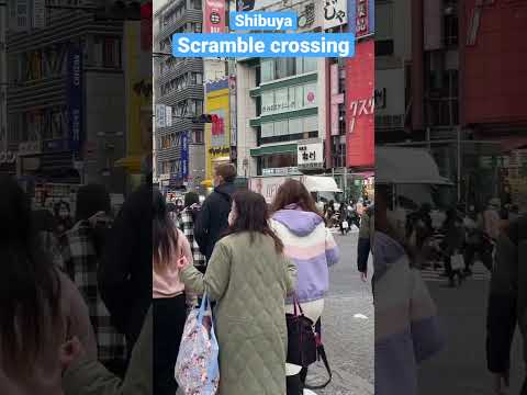 Shibuya Scramble Crossing walk