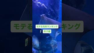 モテる名前ランキング【男子編】👦✌️ #恋愛 #恋愛相談 #恋愛心理 #恋愛成就 #恋愛運 #恋愛マスター #幸せな瞬間をもっと世界に #毎日が笑顔で溢れてる #片思い #shorts