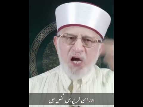 New Most Beautiful Heart Touching Islamic Status | Madina Status | Hadees Status | Muhammad Yaqoob