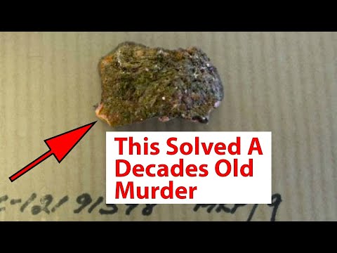 5 Cold Cases Solved Years Later | True Crime Documentary