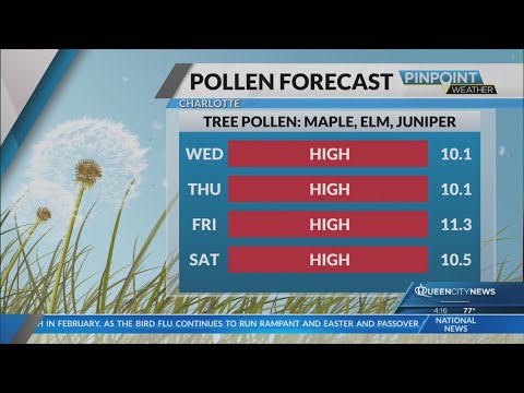 Allergies suddenly bad? Charlotte pollen levels kick off spring allergy season at ‘high’ reading