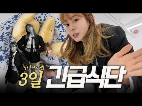 UIEㅣ3 days of diet full of excuses & body profile ㅣ Seoul Fashion Week ㅣvlog ☺ ︎