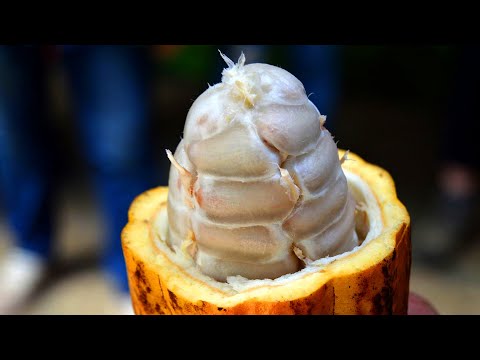 Top 10 Fruits You've Never Heard Of Part 2