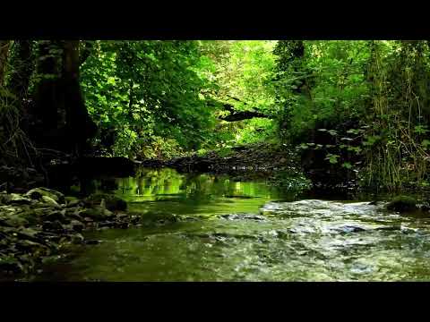 8 HOURS OF NIGHTINGALE BIRDSONG BY THE STREAM,  RELAXING NATURE SOUNDS FOR SLEEP, WHITE NOISE