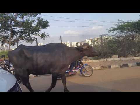 An Average Day in Hyderabad