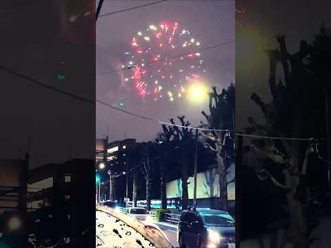 【3.11 防災花火】都内の「避難場所」3カ所で花火！2025年3月11日 ｜Fireworks to raise awareness of disaster prevention in Tokyo.