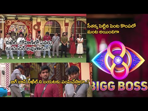 Bigg Boss Telugu 8 | Day 80 | 'Save the T-shirt' Challenge| Nag| Nikhil ni bayataku pumpichesara