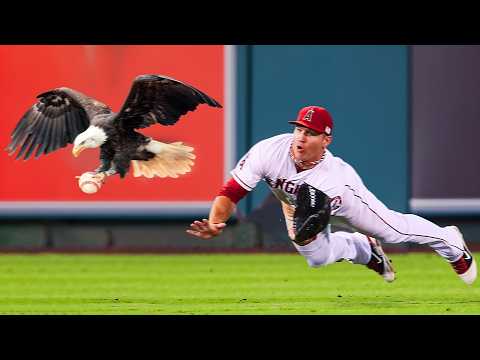 Craziest “Animal Interference” Moments in MLB History