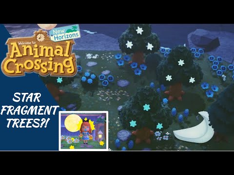 STAR FRAGMENT TREES IN ANIMAL CROSSING?! Are they worth the risk? // ACNH News and Updates!