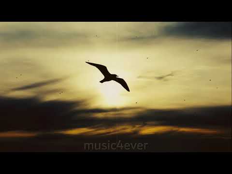 A magnificent  song "Soaring" (#No_Copyright music)